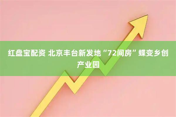 红盘宝配资 北京丰台新发地“72间房”蝶变乡创产业园