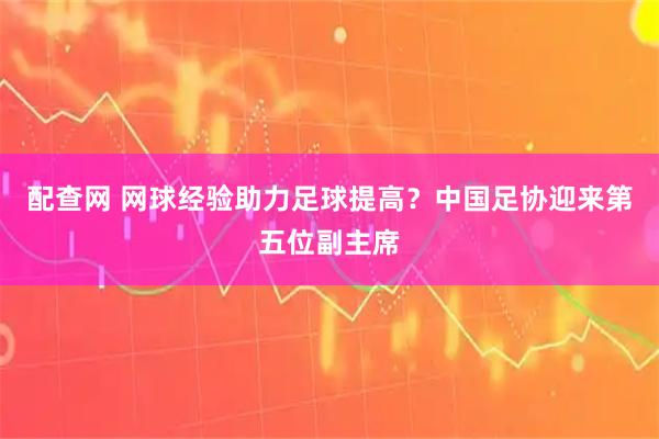 配查网 网球经验助力足球提高？中国足协迎来第五位副主席