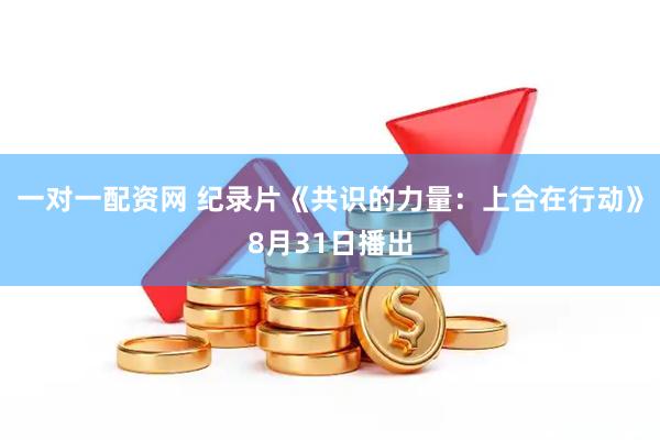 一对一配资网 纪录片《共识的力量：上合在行动》8月31日播出