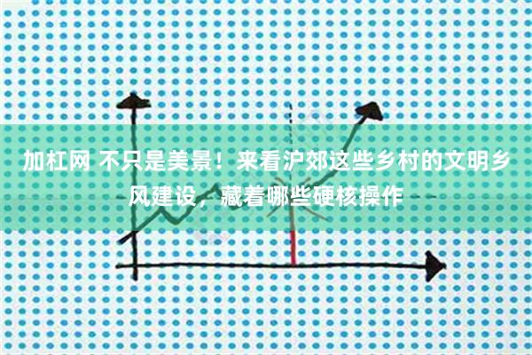 加杠网 不只是美景！来看沪郊这些乡村的文明乡风建设，藏着哪些硬核操作