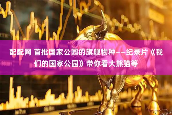 配配网 首批国家公园的旗舰物种——纪录片《我们的国家公园》带你看大熊猫等