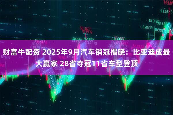 财富牛配资 2025年9月汽车销冠揭晓：比亚迪成最大赢家 28省夺冠11省车型登顶