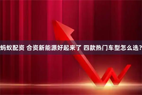 蚂蚁配资 合资新能源好起来了 四款热门车型怎么选？