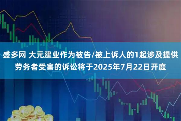 盛多网 大元建业作为被告/被上诉人的1起涉及提供劳务者受害的诉讼将于2025年7月22日开庭