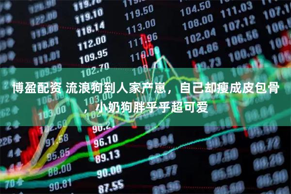 博盈配资 流浪狗到人家产崽，自己却瘦成皮包骨，小奶狗胖乎乎超可爱