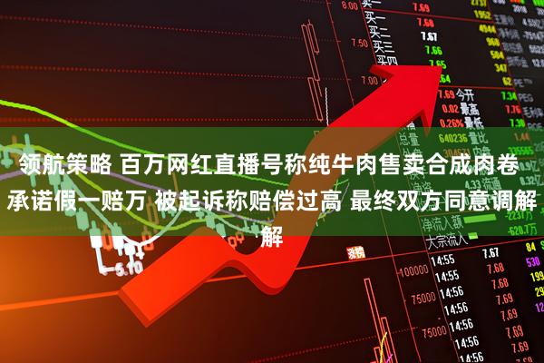 领航策略 百万网红直播号称纯牛肉售卖合成肉卷 承诺假一赔万 被起诉称赔偿过高 最终双方同意调解